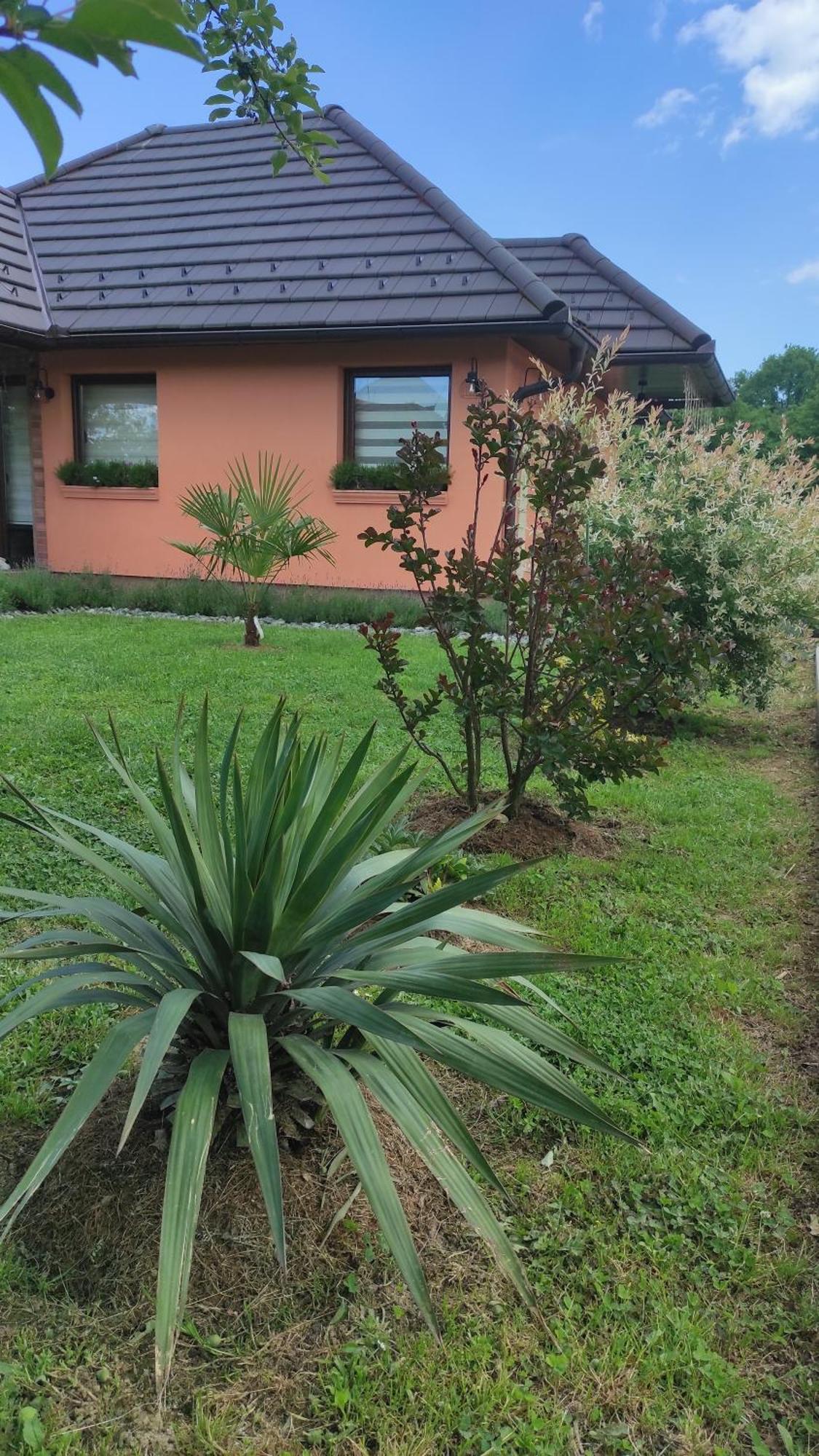 Apartman A&E Zivinice Exterior foto